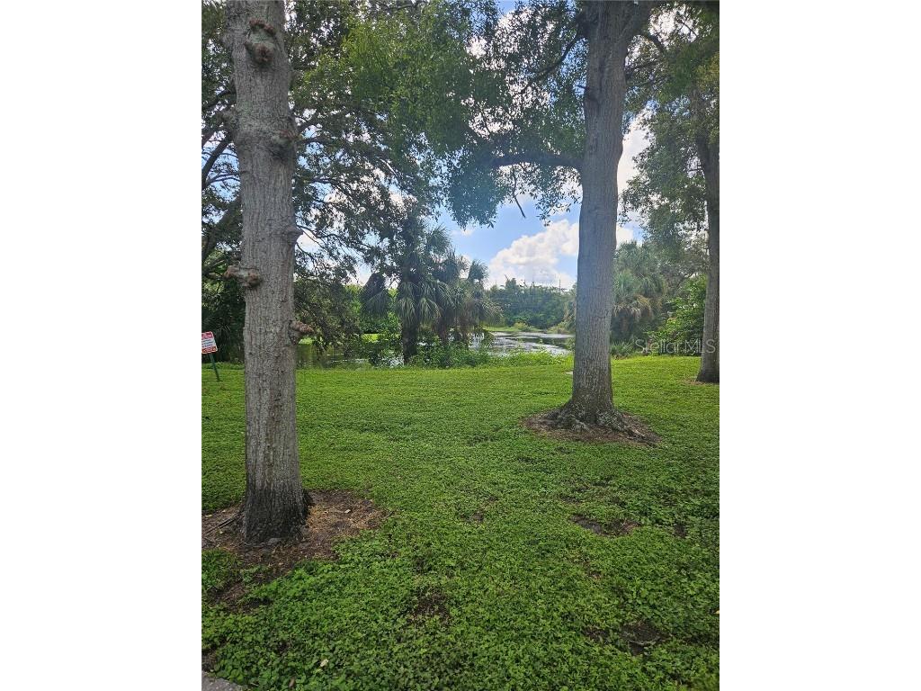 701 S Madison Avenue #515 Clearwater FL 33756 TB8434019 image11