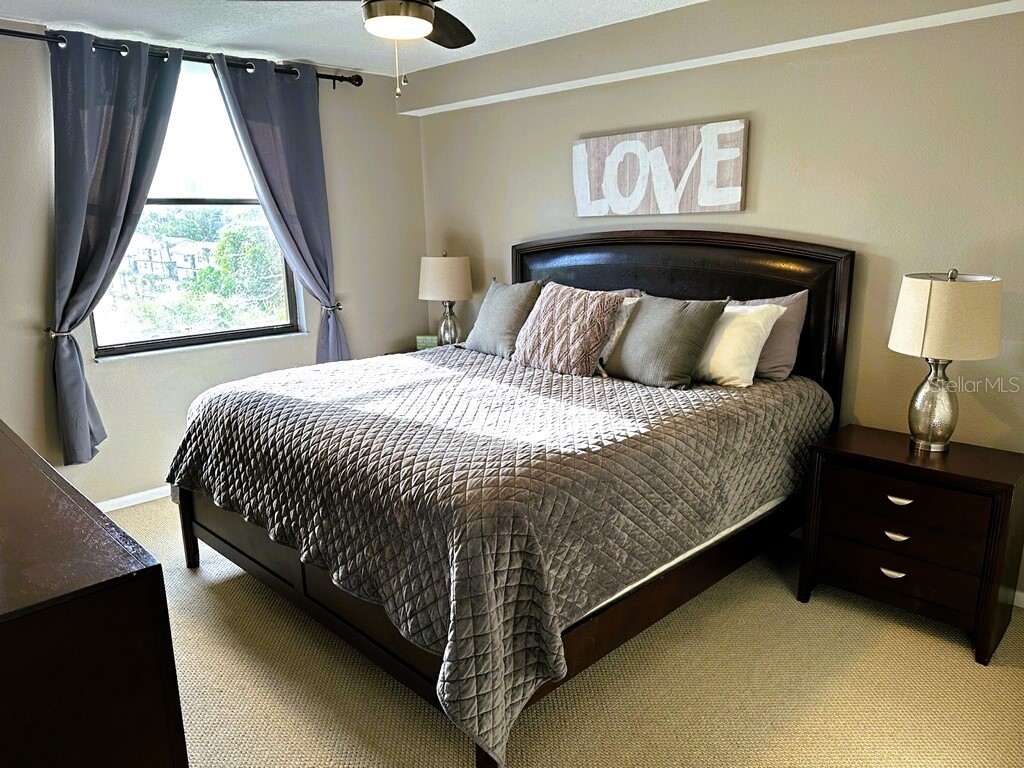 701 S Madison Avenue #515 Clearwater FL 33756 TB8434019 image5