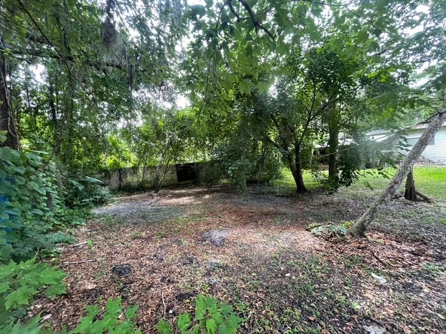 701 Story Partin Road Orlando FL 32833 O6320154 image6