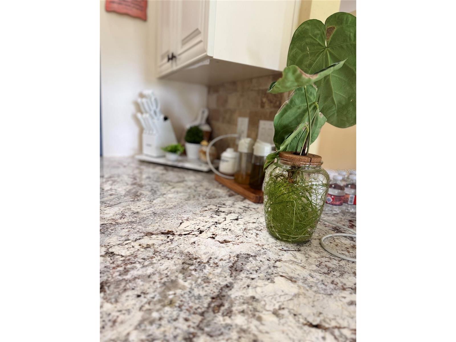 701 White Ivey Court Apopka FL 32712 O6383381 image20