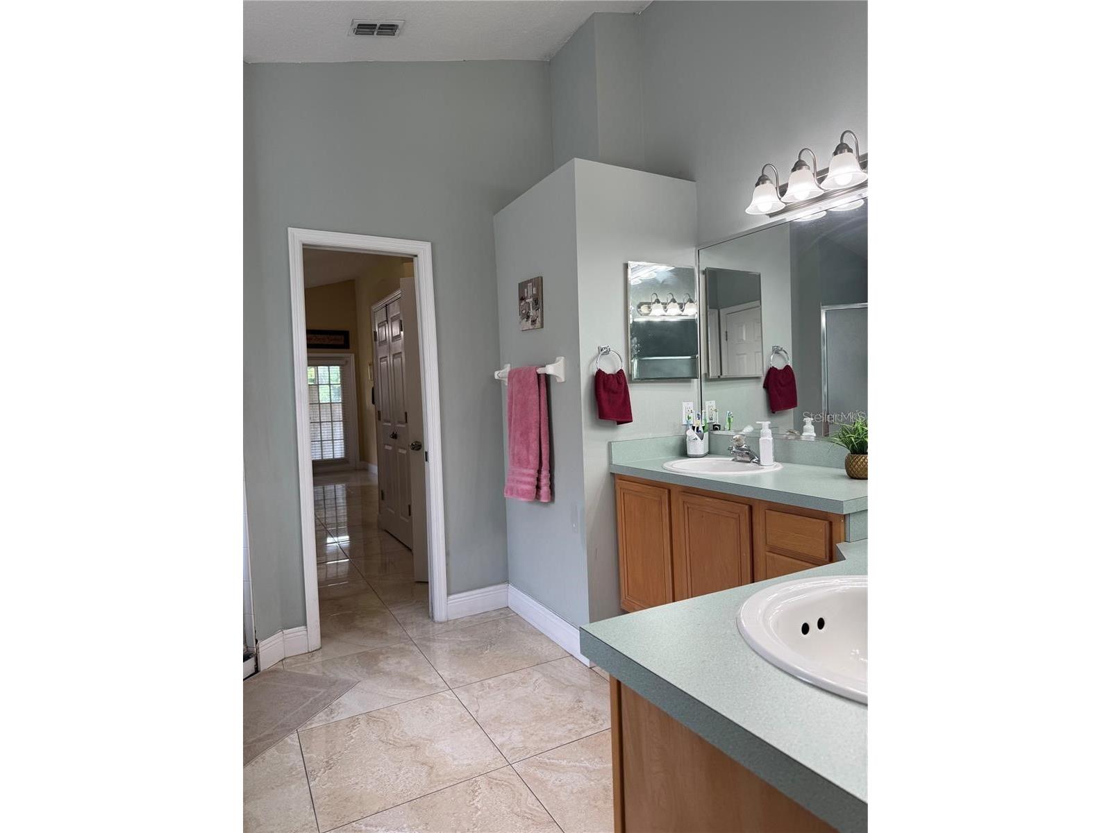 701 White Ivey Court Apopka FL 32712 O6383381 image31