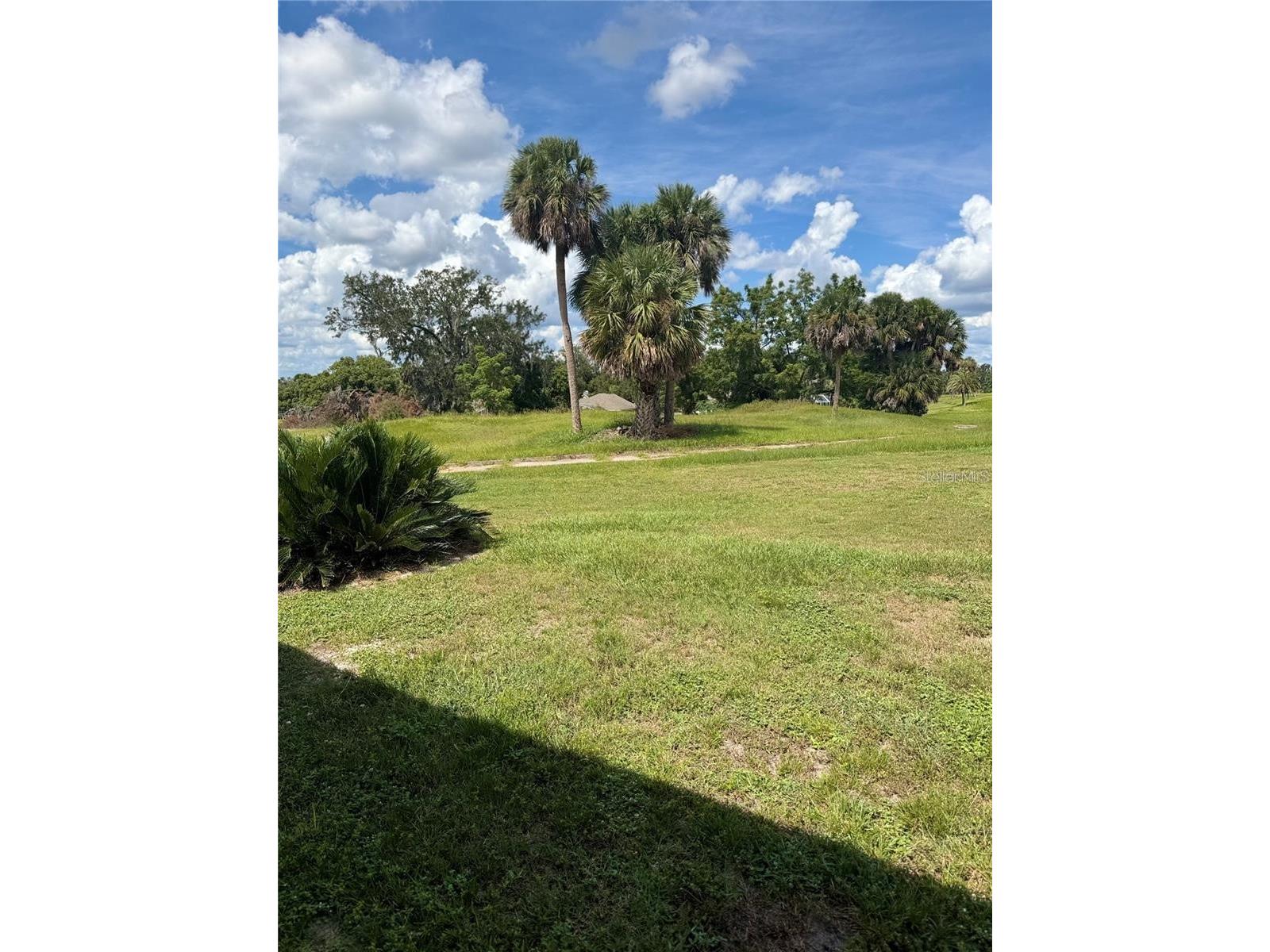 701 White Ivey Court Apopka FL 32712 O6383381 image46