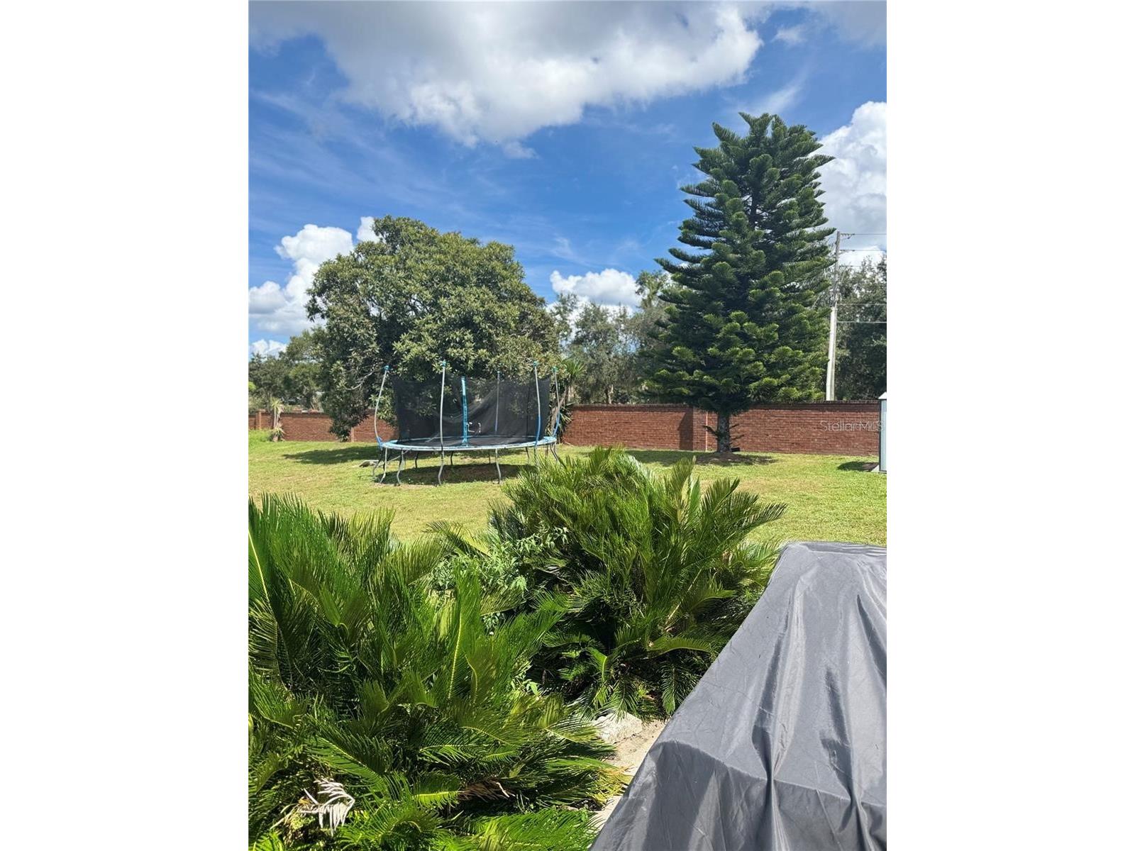 701 White Ivey Court Apopka FL 32712 O6383381 image47