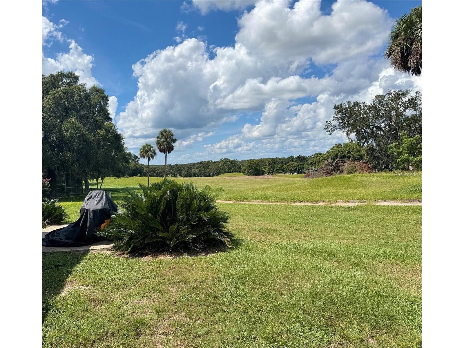 701 White Ivey Court Apopka FL 32712 O6383381 image48