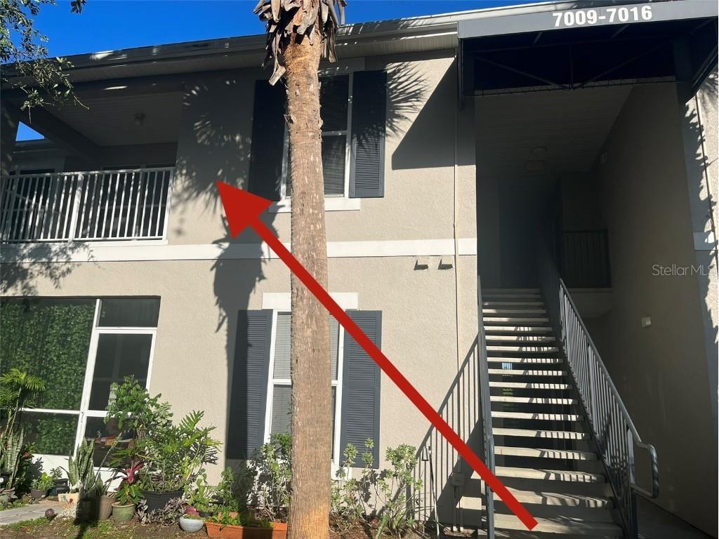 7010 Hemingway Circle Haines City FL 33844 O6119235 image1