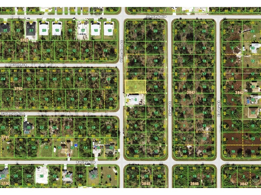 7010 Princeton Street Port Charlotte FL 33981 D6146141 image3