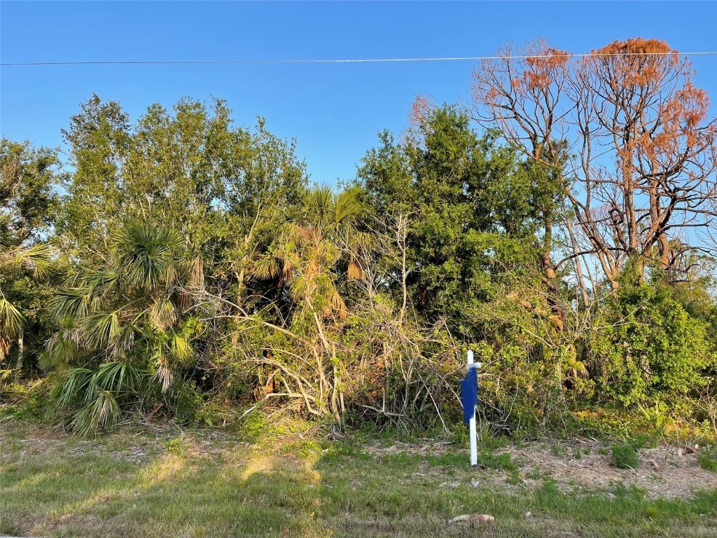 7011 Kaler Street Port Charlotte FL 33981 D6130507 image1