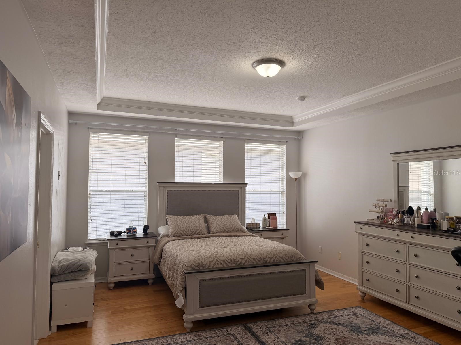 7011 Nobleton Drive Windermere FL 34786 O6412101 image11