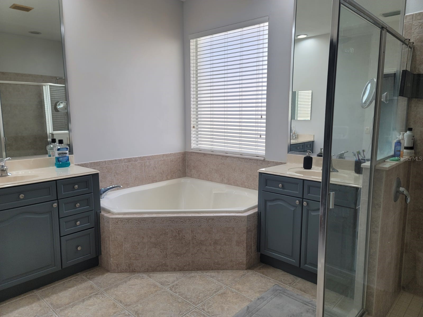 7011 Nobleton Drive Windermere FL 34786 O6412101 image12