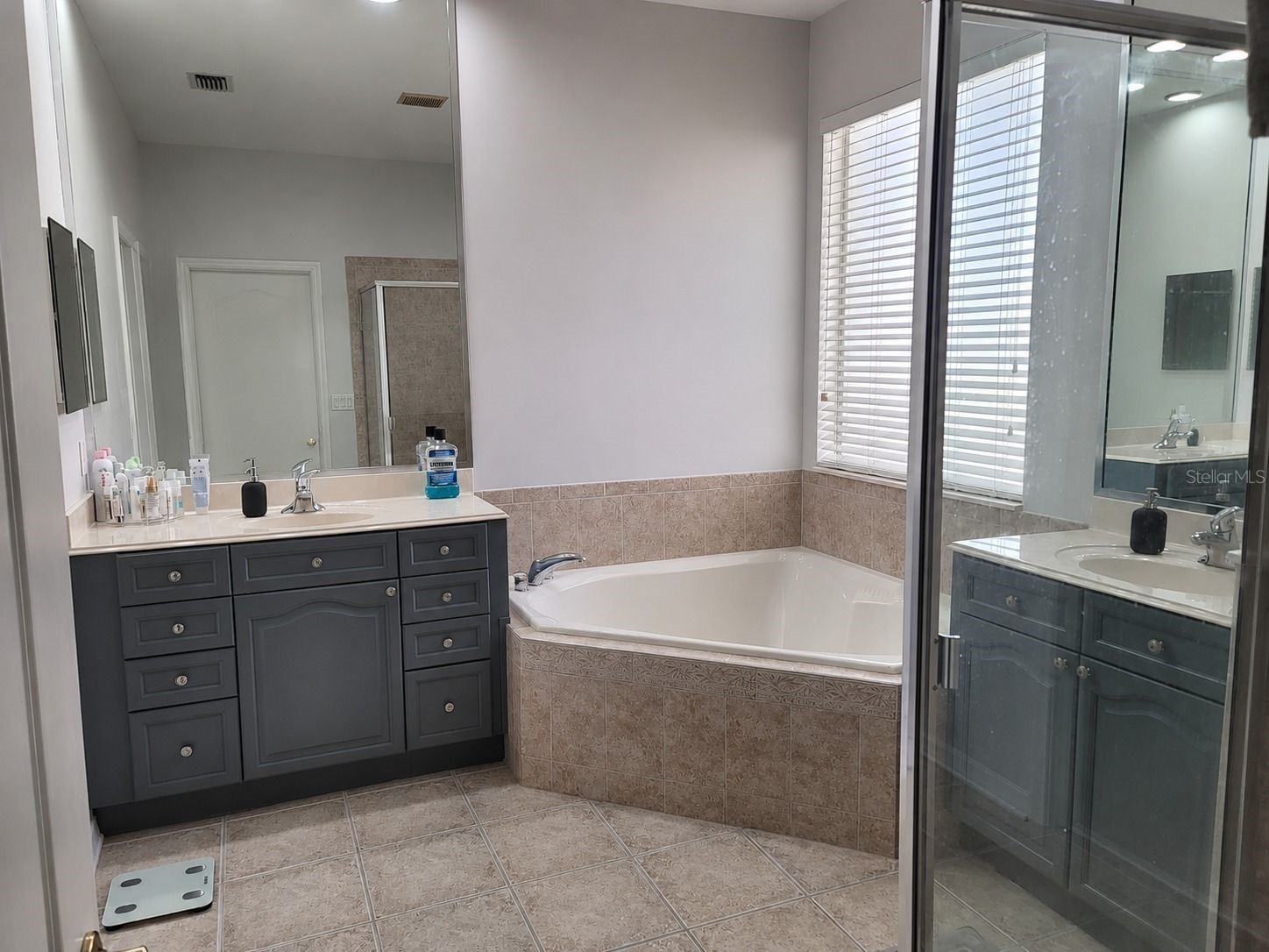7011 Nobleton Drive Windermere FL 34786 O6412101 image20