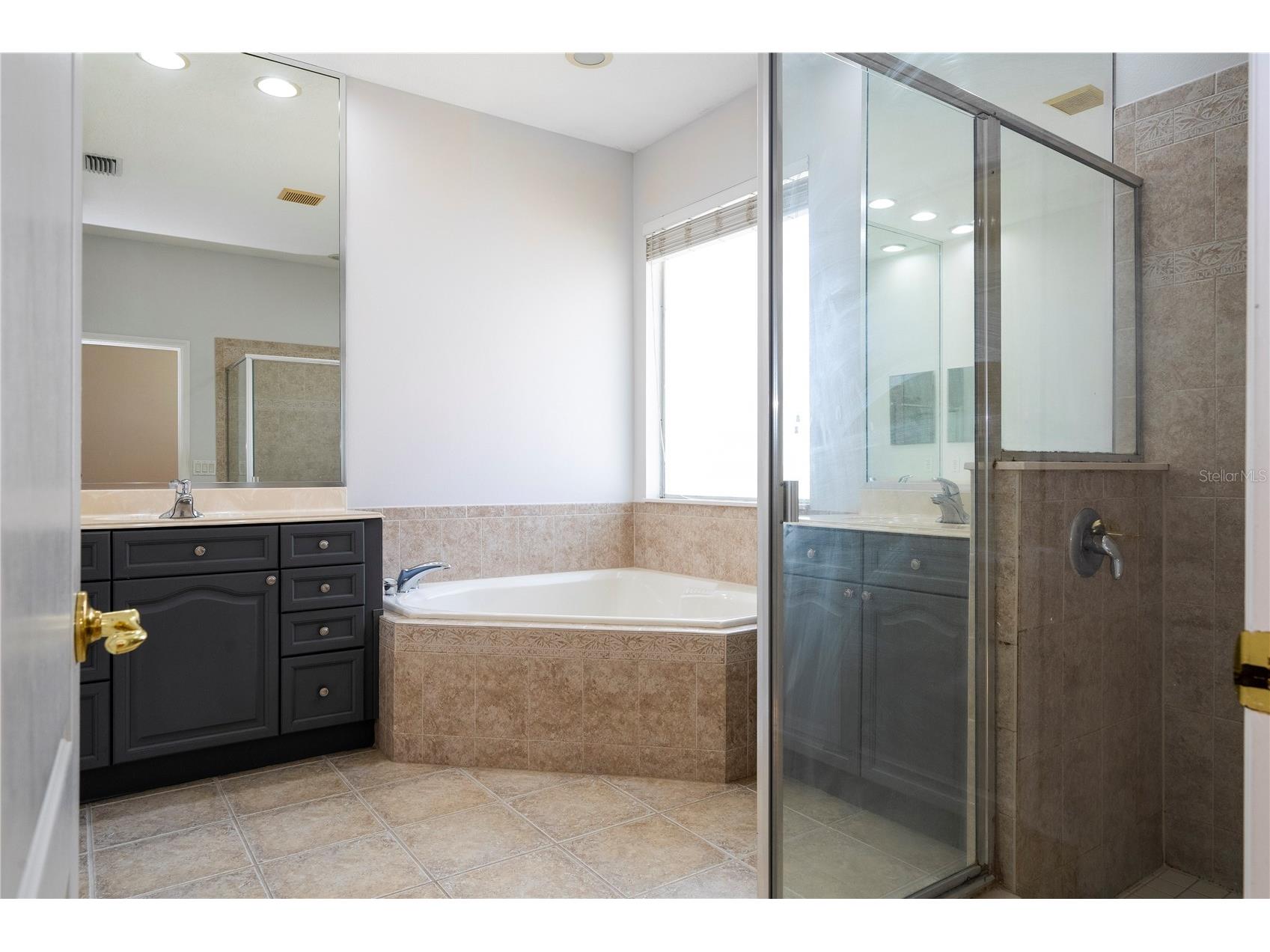7011 Nobleton Drive Windermere FL 34786 O6412101 image65