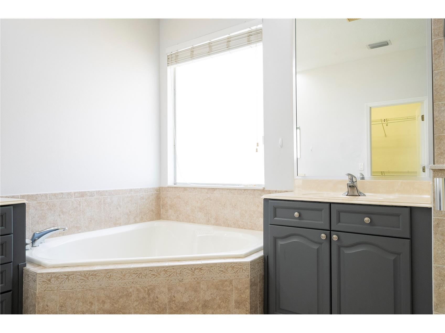 7011 Nobleton Drive Windermere FL 34786 O6412101 image66
