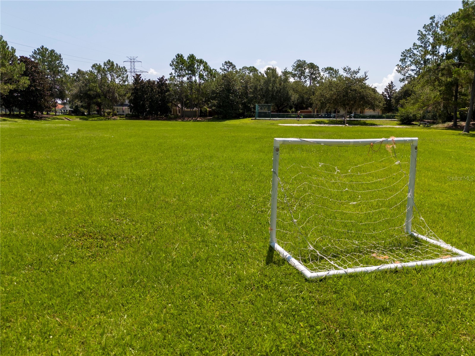 7011 Nobleton Drive Windermere FL 34786 O6412101 image79
