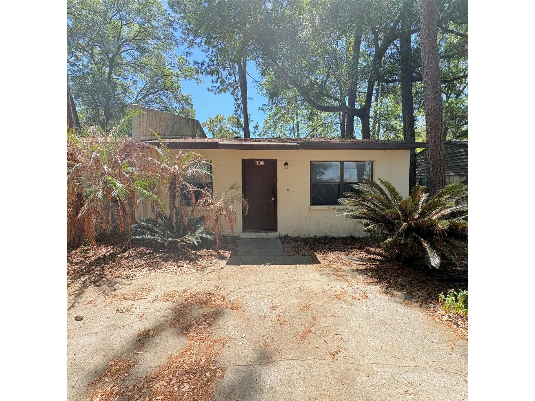 7011 SW 17th Place Gainesville FL 32607 OM715676 image1