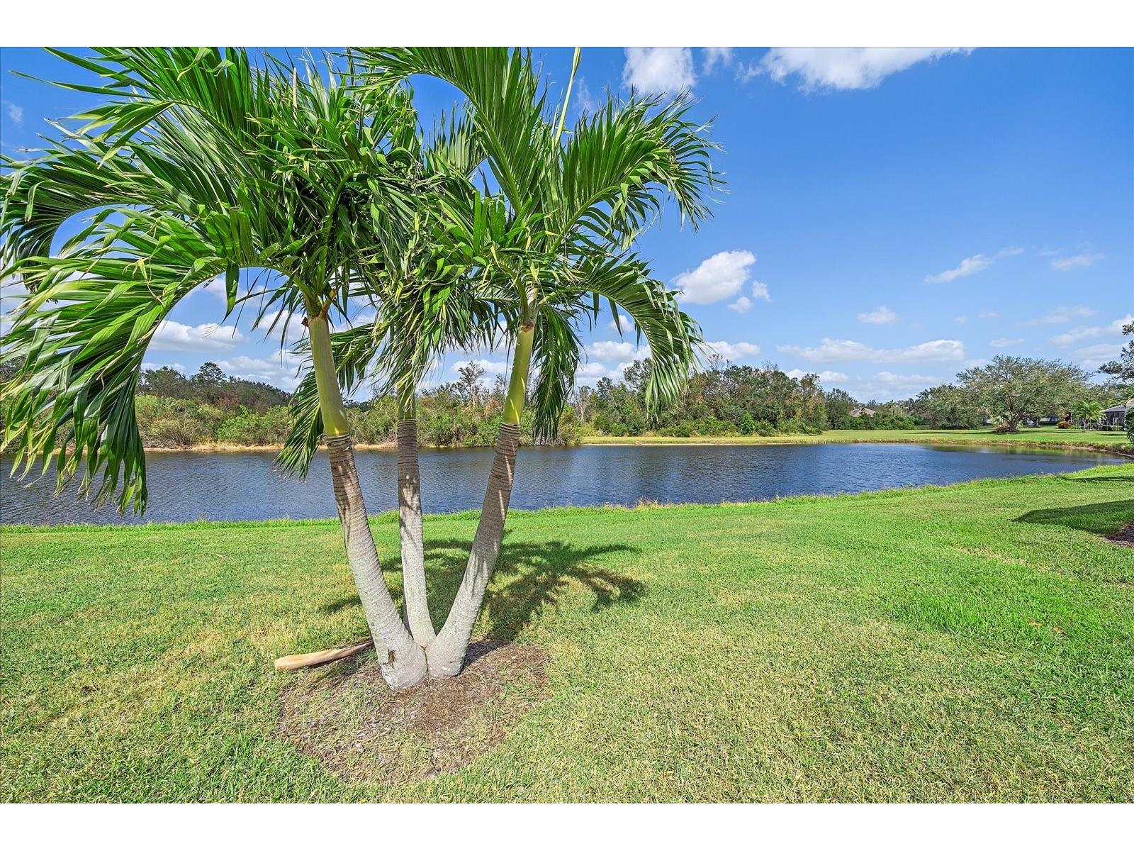 7011 Woodmore Terrace Lakewood Ranch FL 34202 A4676575 image25