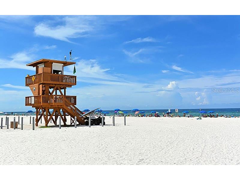 7011 Woodmore Terrace Lakewood Ranch FL 34202 A4676575 image29