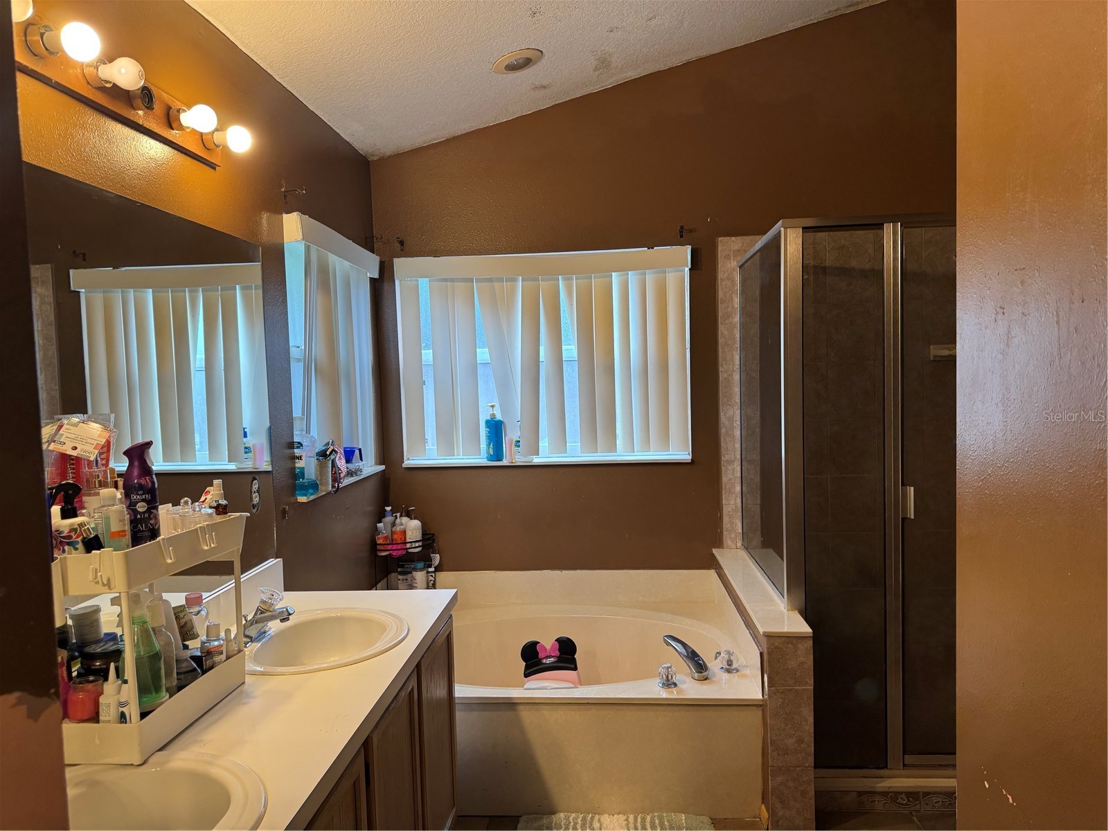 7012 Coral Cove Drive Orlando FL 32818 O6396391 image14