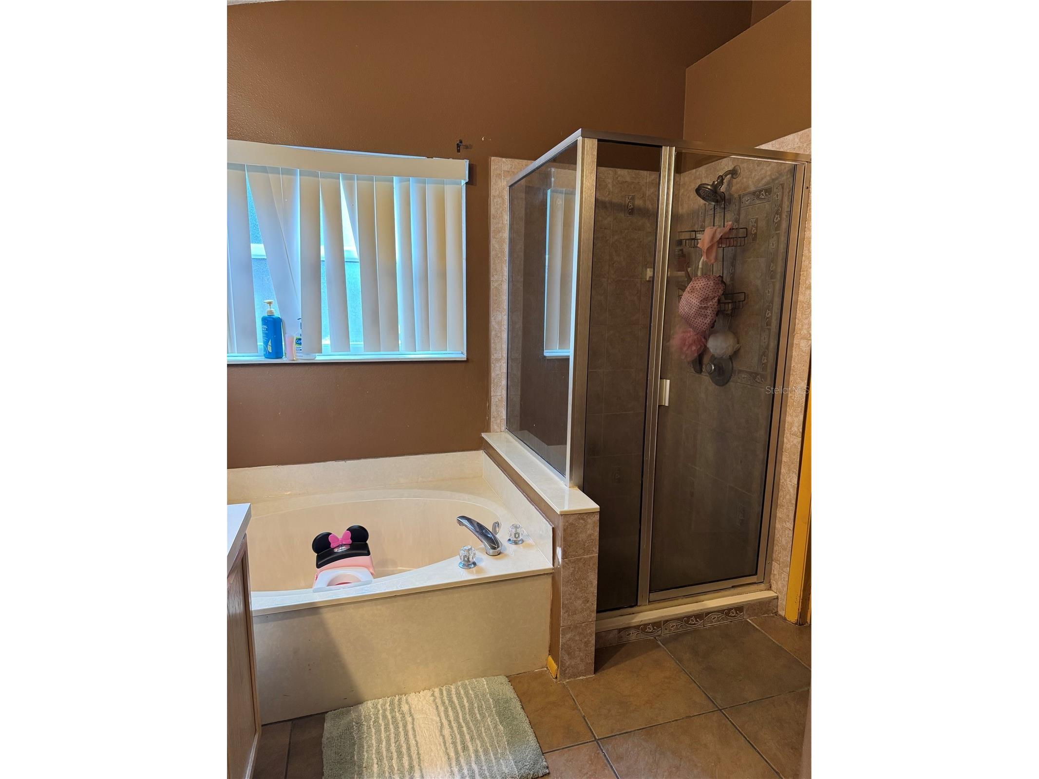 7012 Coral Cove Drive Orlando FL 32818 O6396391 image25