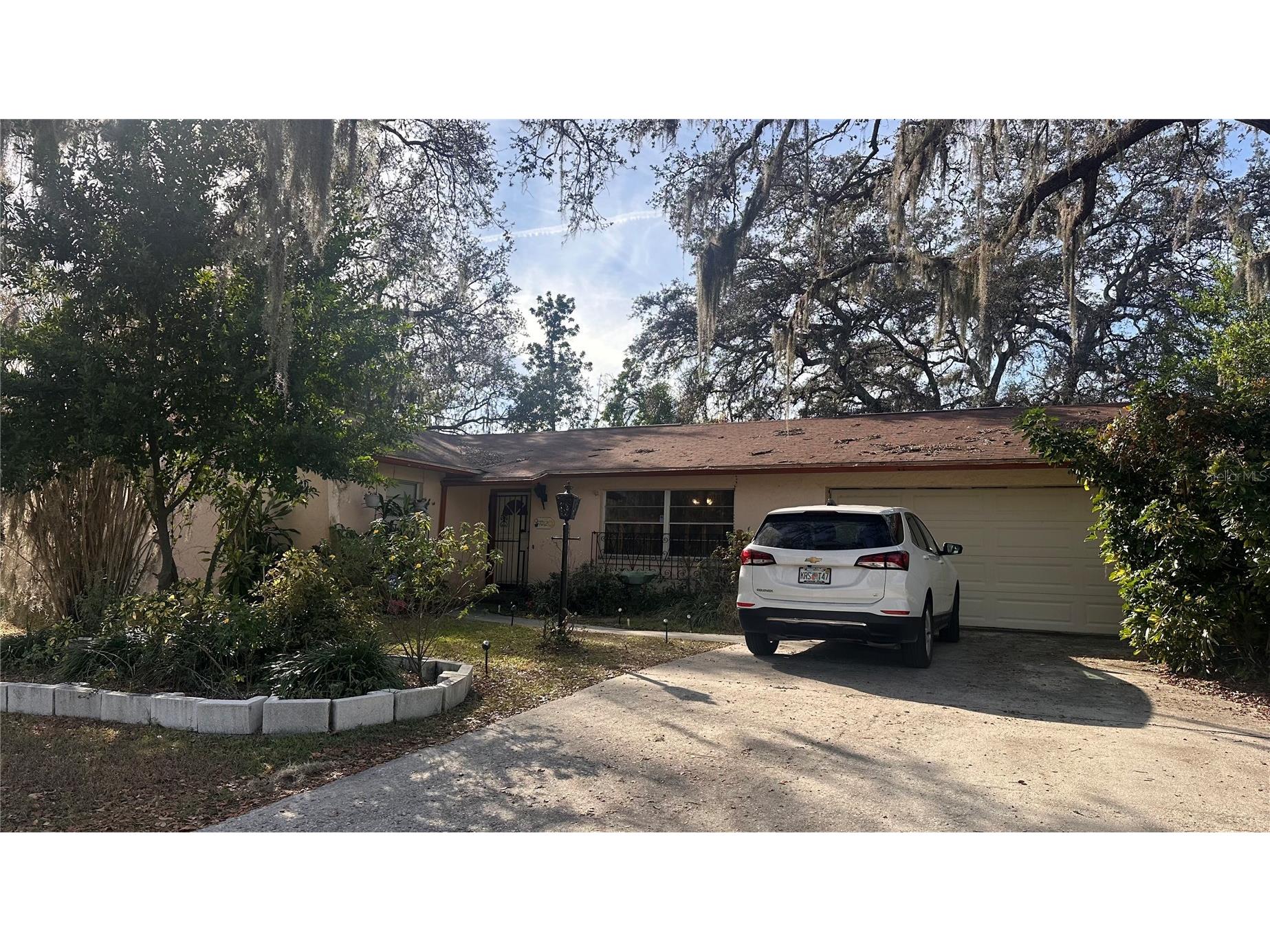 7012 Doreen Street Tampa FL 33617 TB8464406 image1