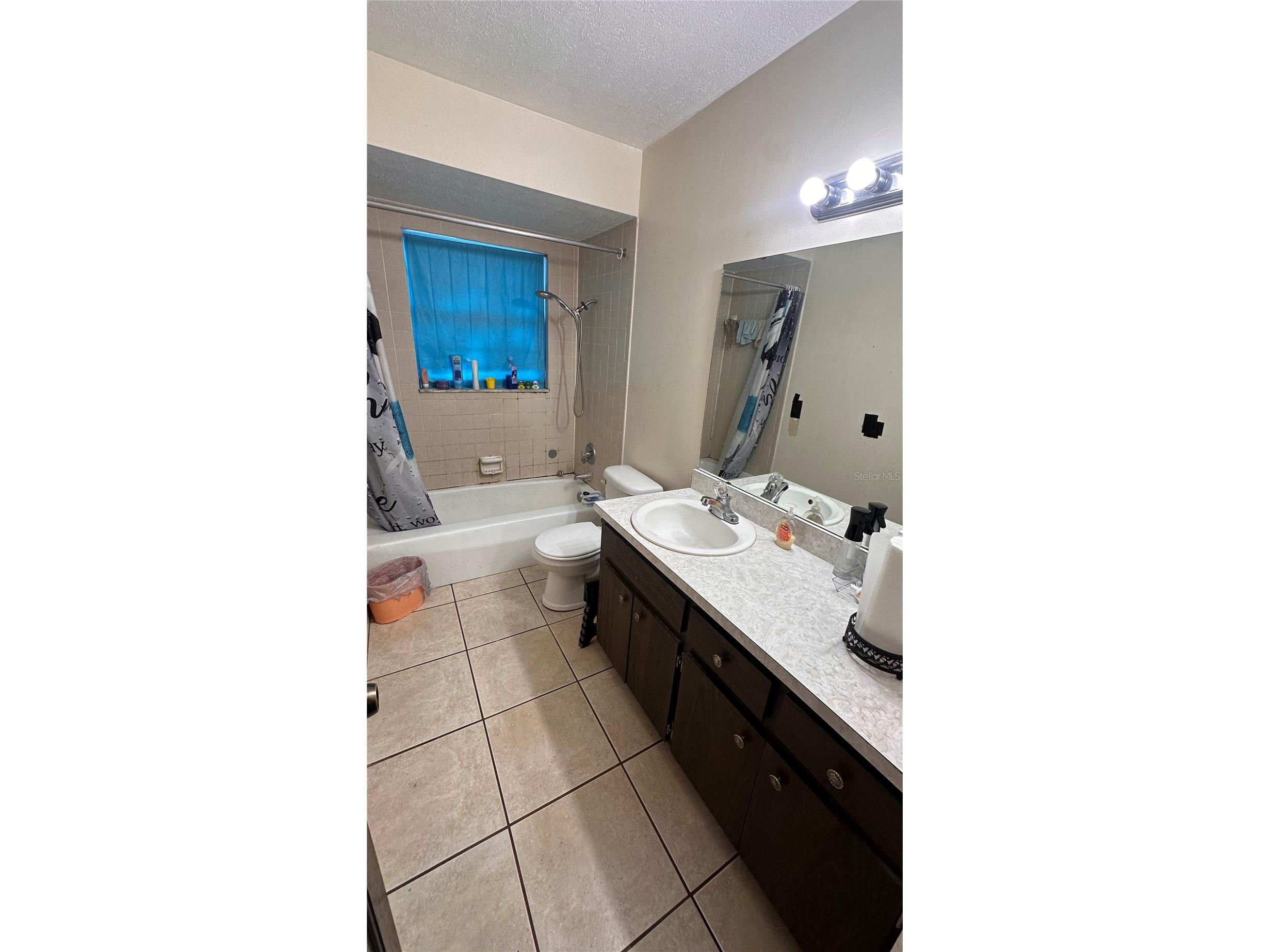 7012 Doreen Street Tampa FL 33617 TB8464406 image9