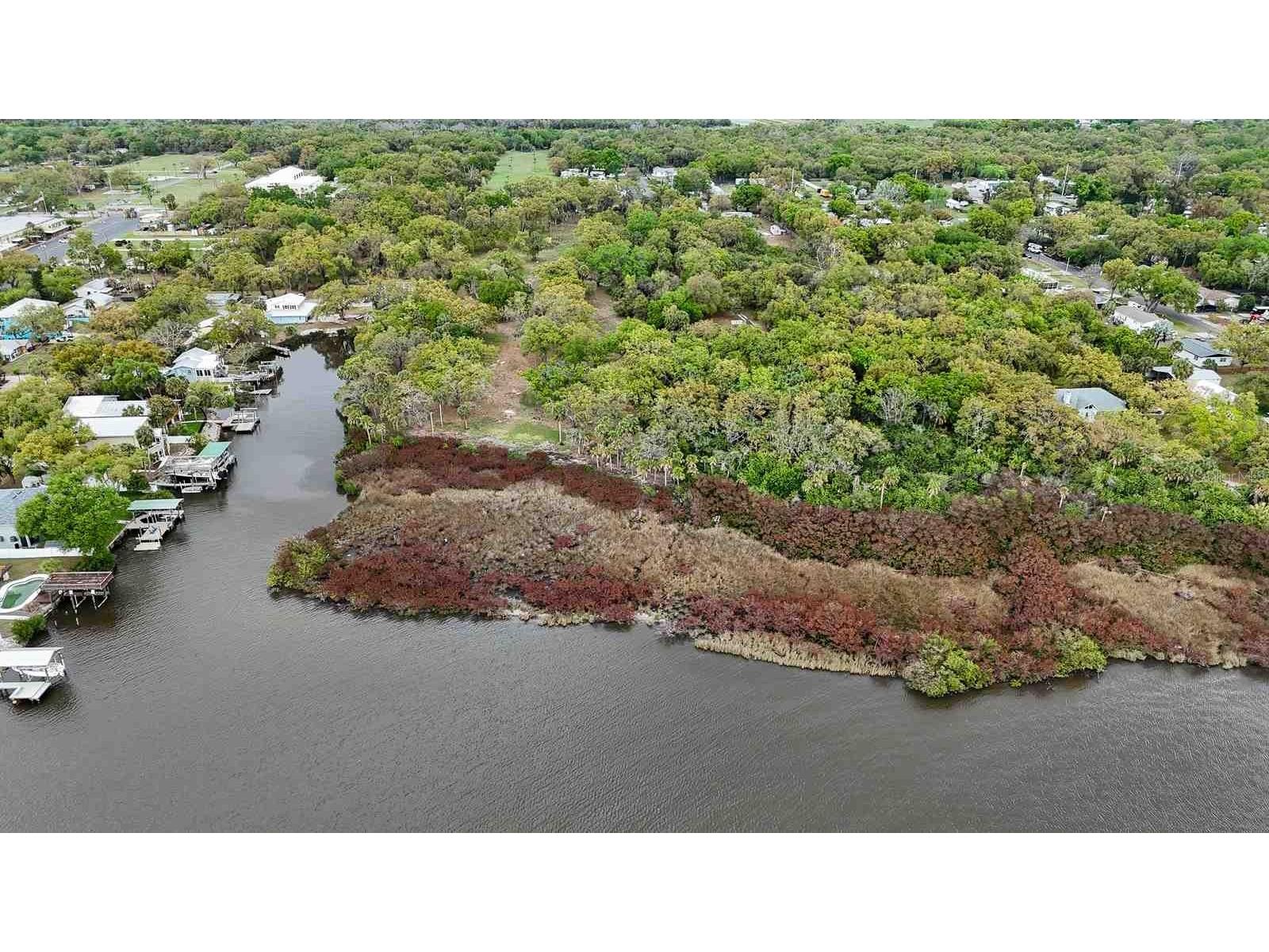7013 & 7015 Riverview Drive Riverview FL 33578 - ALAFIA RIVER TB8505465 image2