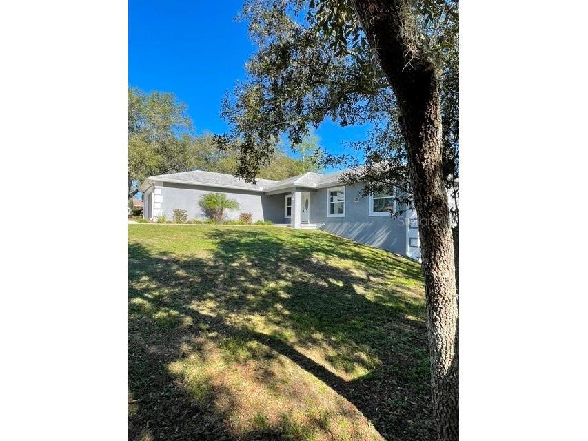 7013 Odoniel Loop W Lakeland FL 33809 L4961724 image5