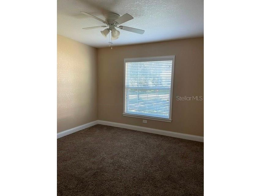 7013 Odoniel Loop W Lakeland FL 33809 L4961724 image8