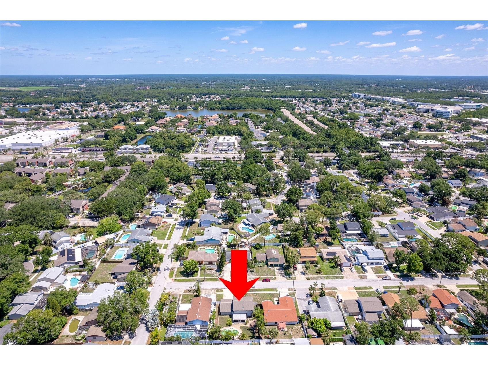 7014 Edenbrook Court Tampa FL 33634 TB8516632 image27