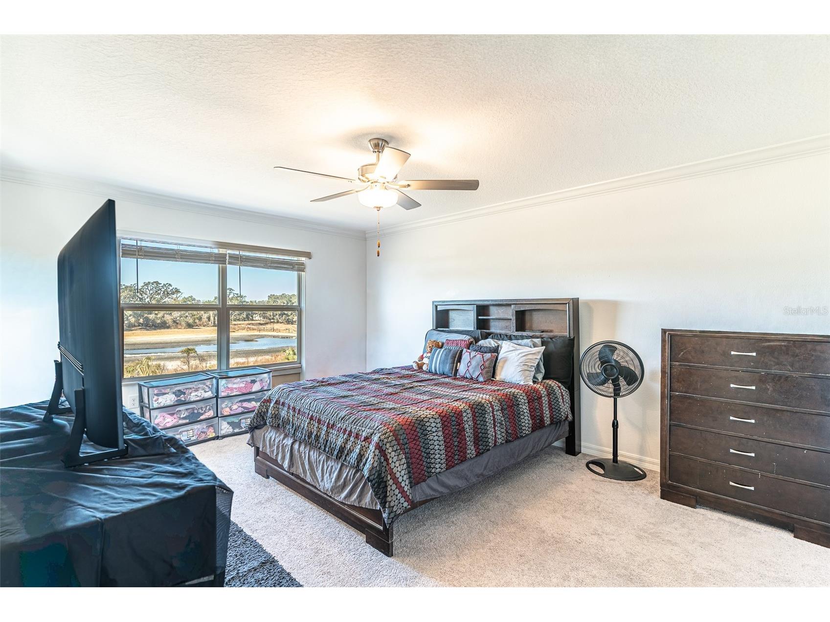 7014 Ripple Pond Loop Zephyrhills FL 33541 L4958773 image6