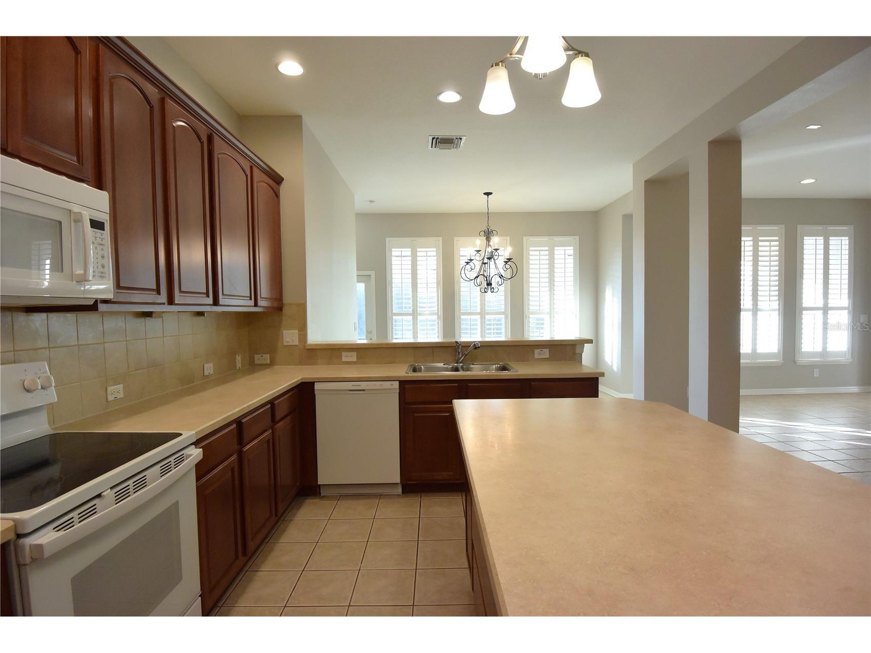 7015 Cardinalwood Lane Land O Lakes FL 34637 W7882620 image17