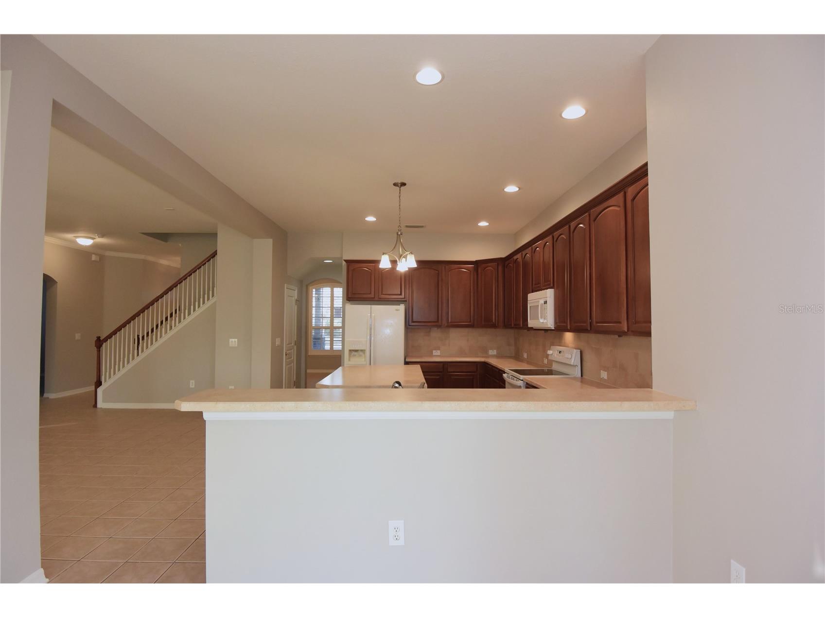 7015 Cardinalwood Lane Land O Lakes FL 34637 W7882620 image21
