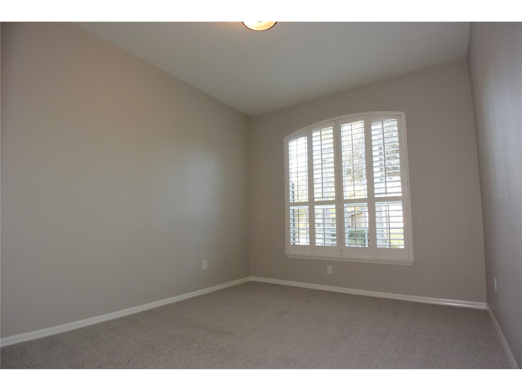 7015 Cardinalwood Lane Land O Lakes FL 34637 W7882620 image22