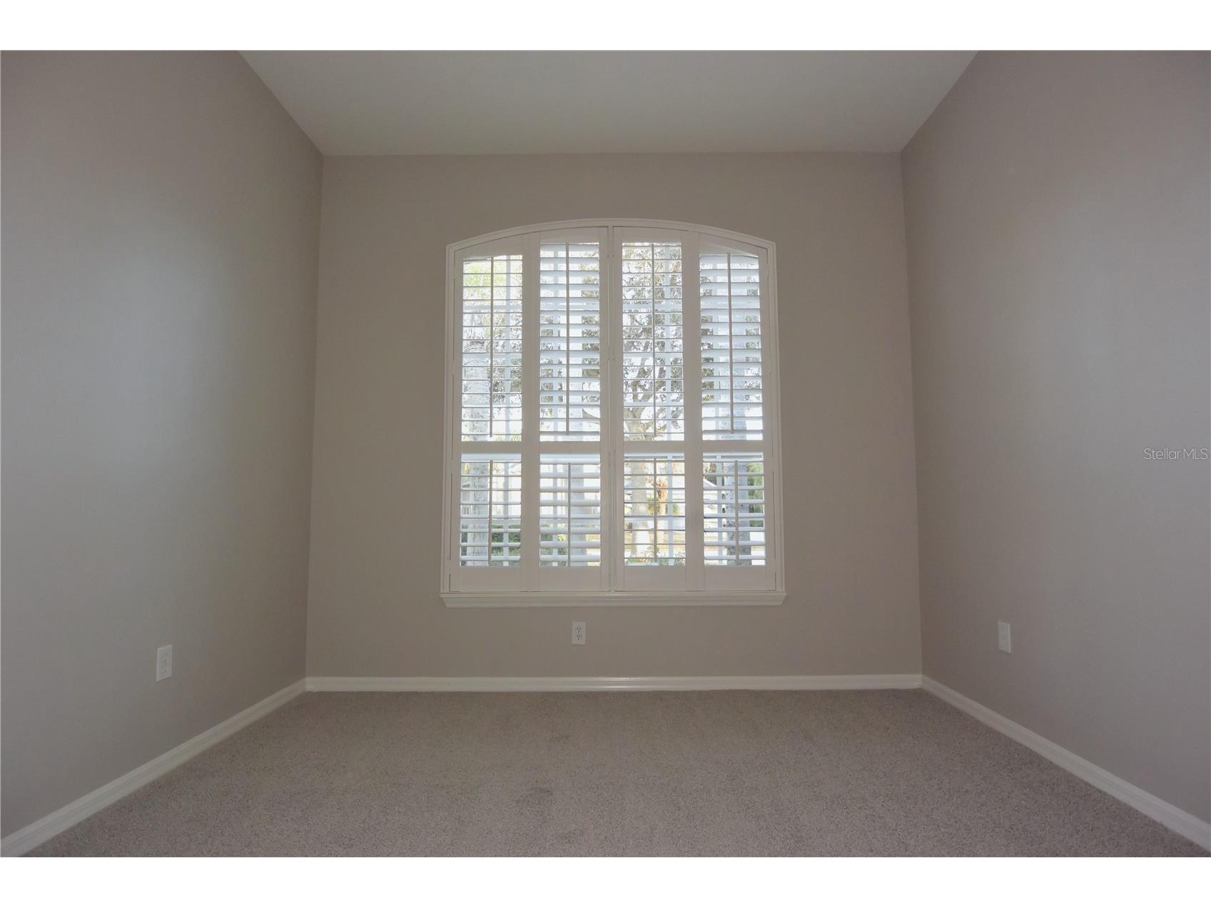 7015 Cardinalwood Lane Land O Lakes FL 34637 W7882620 image24