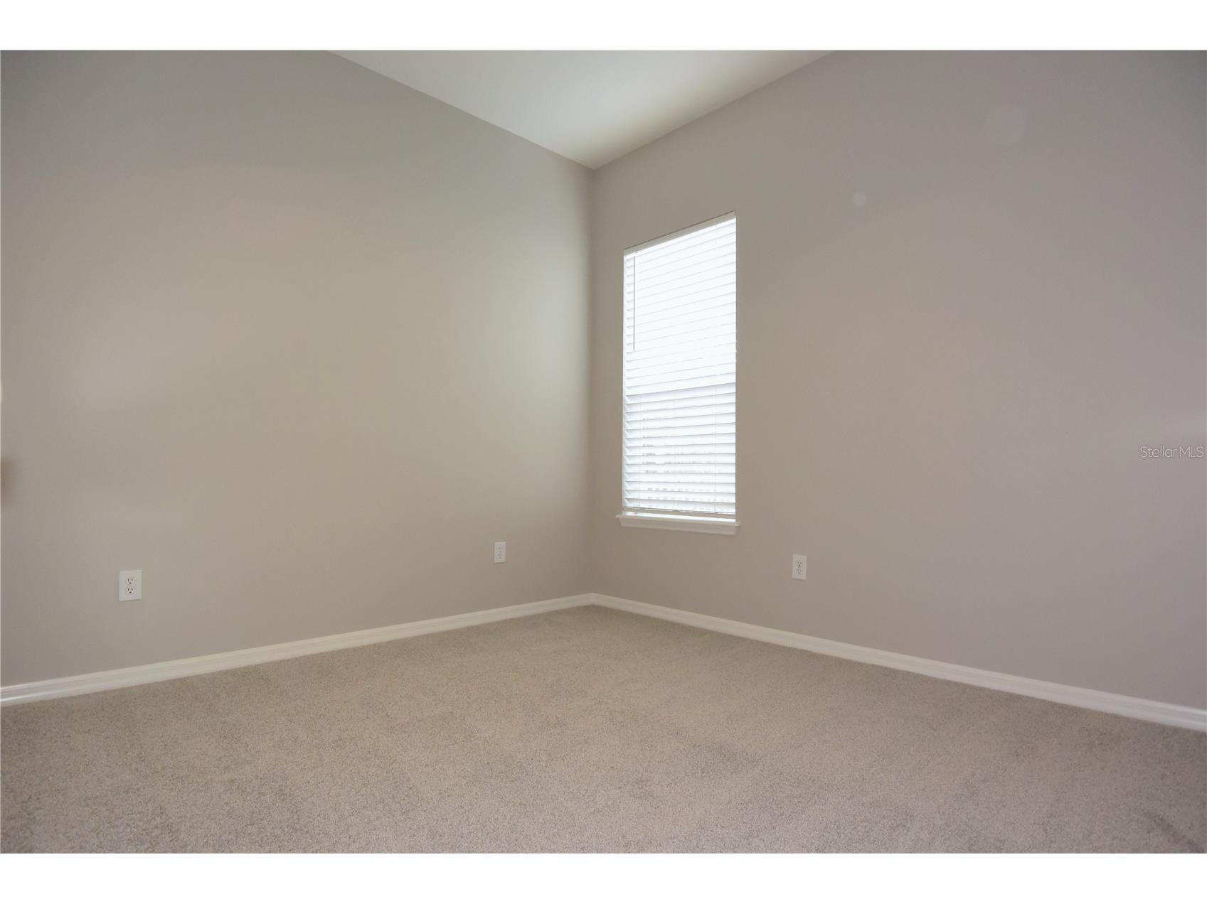 7015 Cardinalwood Lane Land O Lakes FL 34637 W7882620 image33