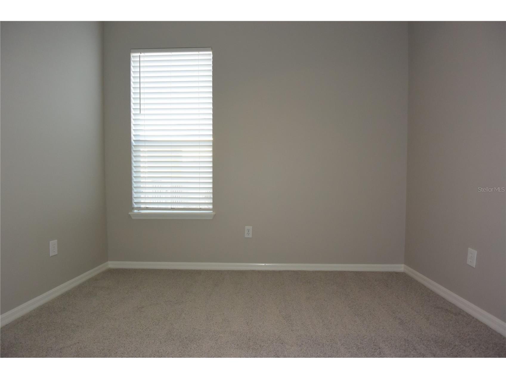 7015 Cardinalwood Lane Land O Lakes FL 34637 W7882620 image34