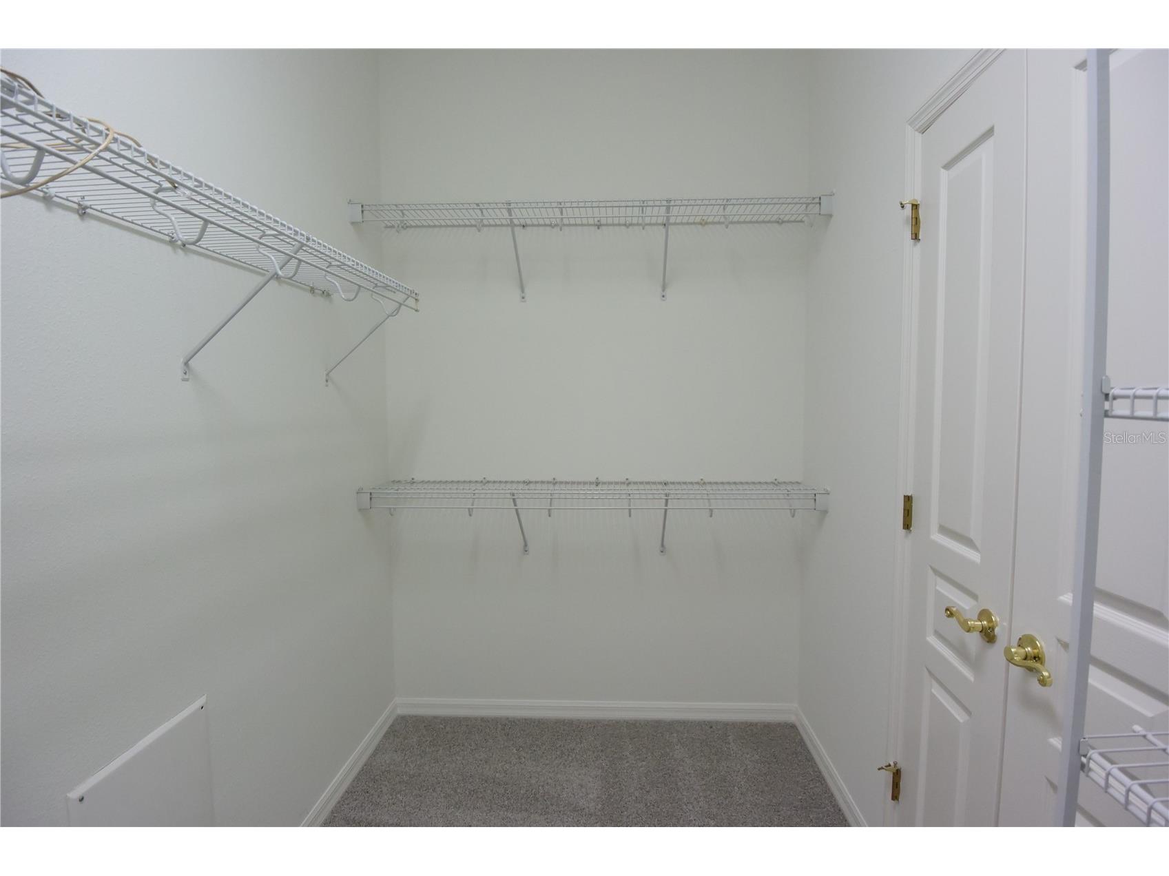 7015 Cardinalwood Lane Land O Lakes FL 34637 W7882620 image36
