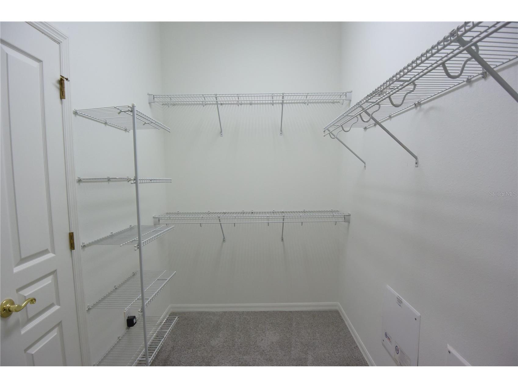 7015 Cardinalwood Lane Land O Lakes FL 34637 W7882620 image37