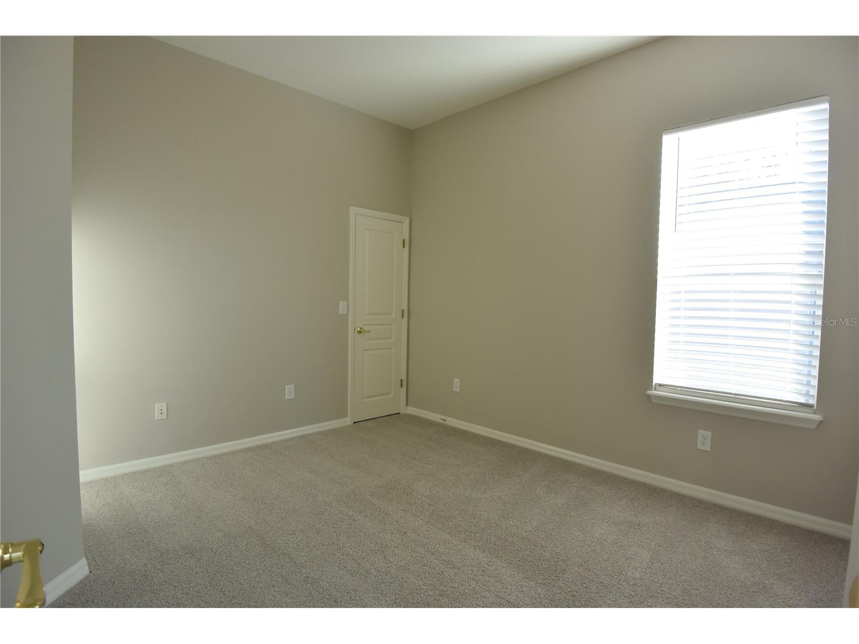 7015 Cardinalwood Lane Land O Lakes FL 34637 W7882620 image38