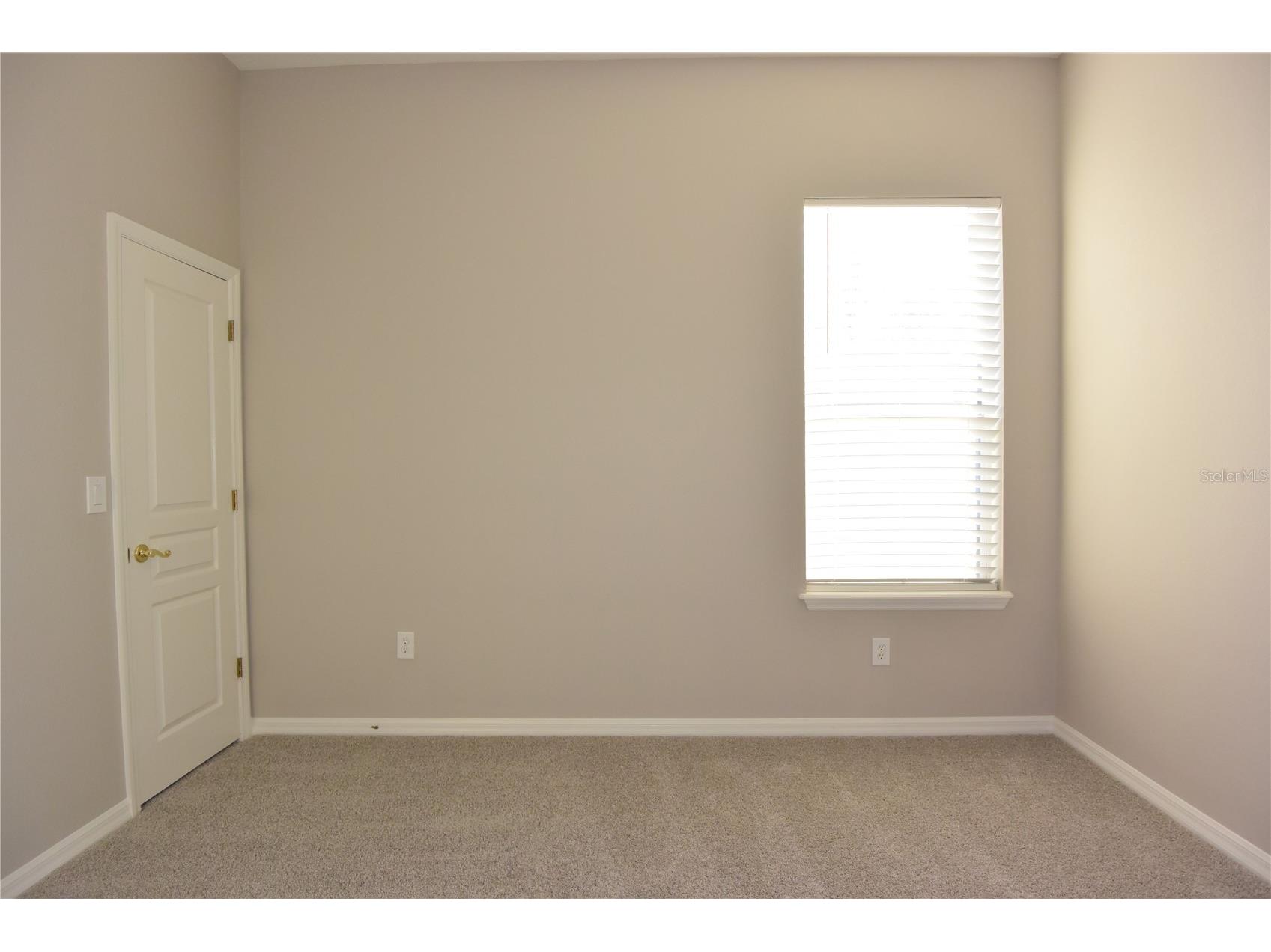 7015 Cardinalwood Lane Land O Lakes FL 34637 W7882620 image39