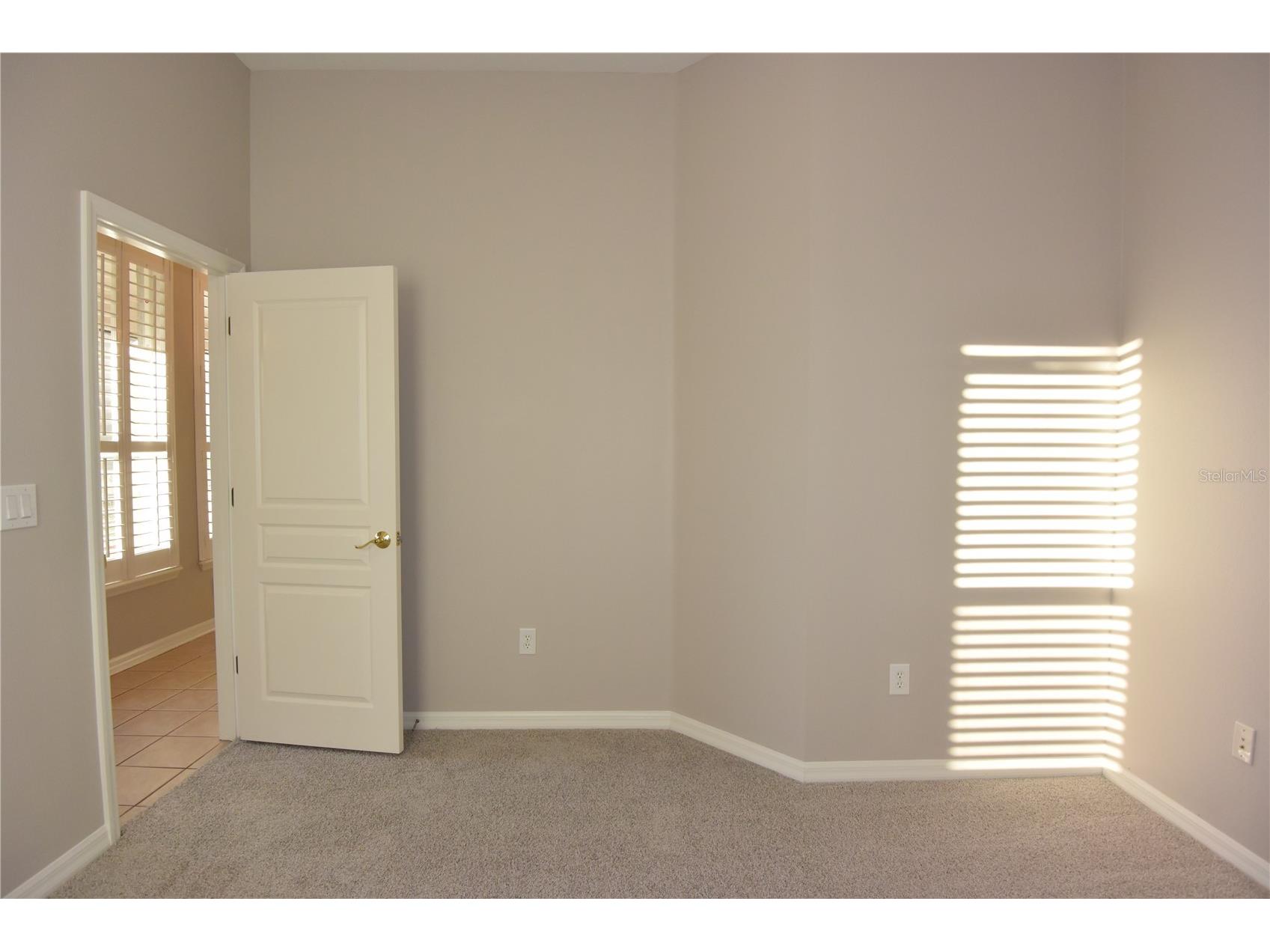 7015 Cardinalwood Lane Land O Lakes FL 34637 W7882620 image40