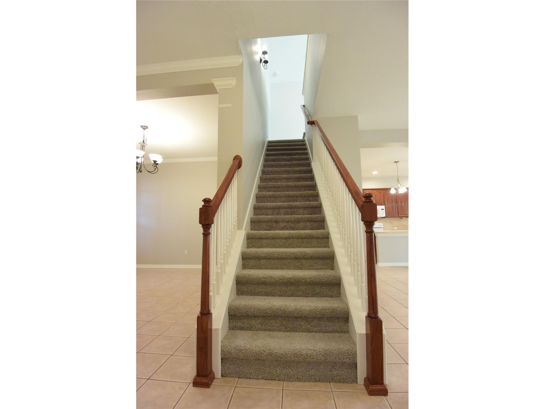 7015 Cardinalwood Lane Land O Lakes FL 34637 W7882620 image42