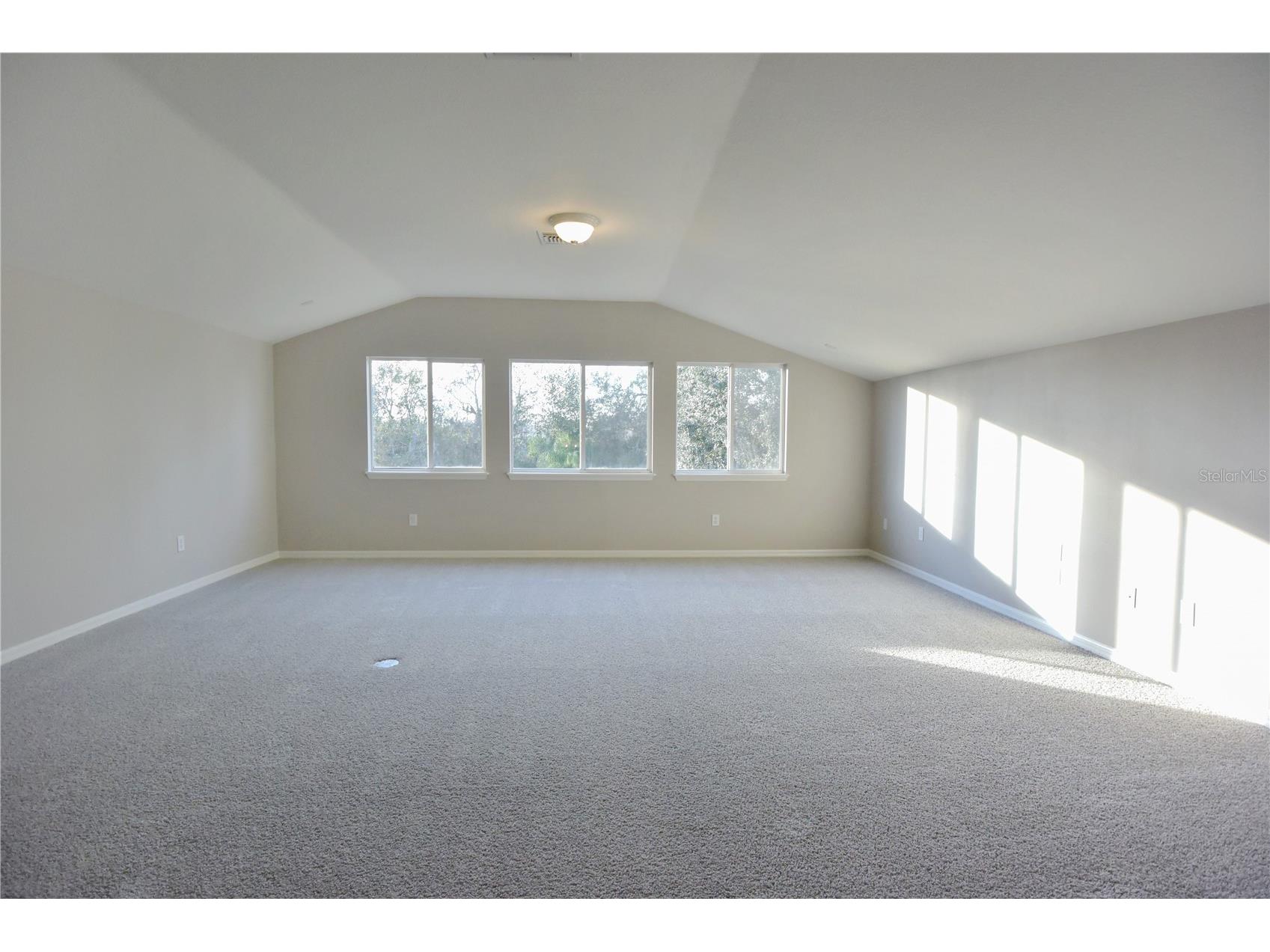 7015 Cardinalwood Lane Land O Lakes FL 34637 W7882620 image43