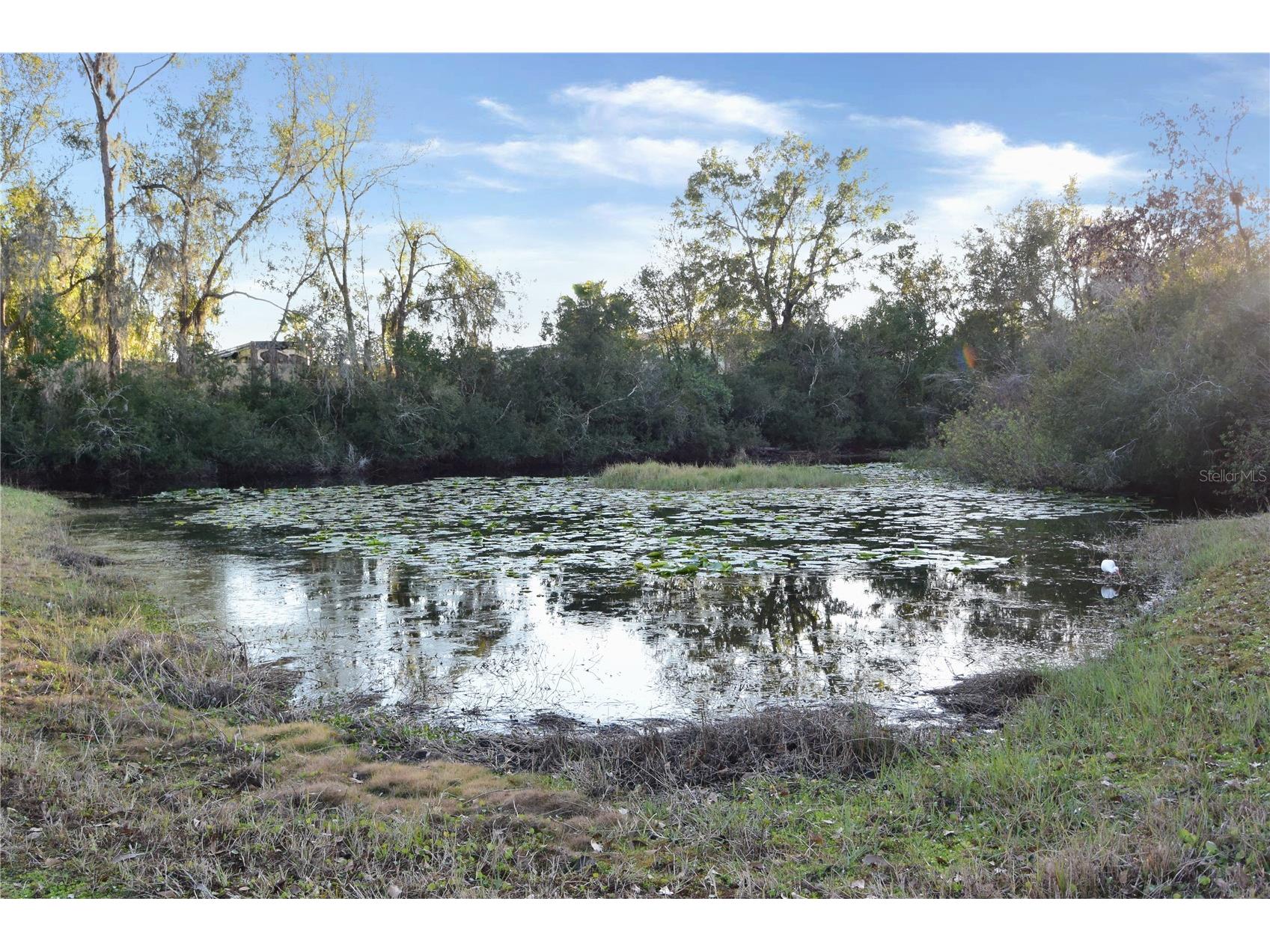 7015 Cardinalwood Lane Land O Lakes FL 34637 W7882620 image50