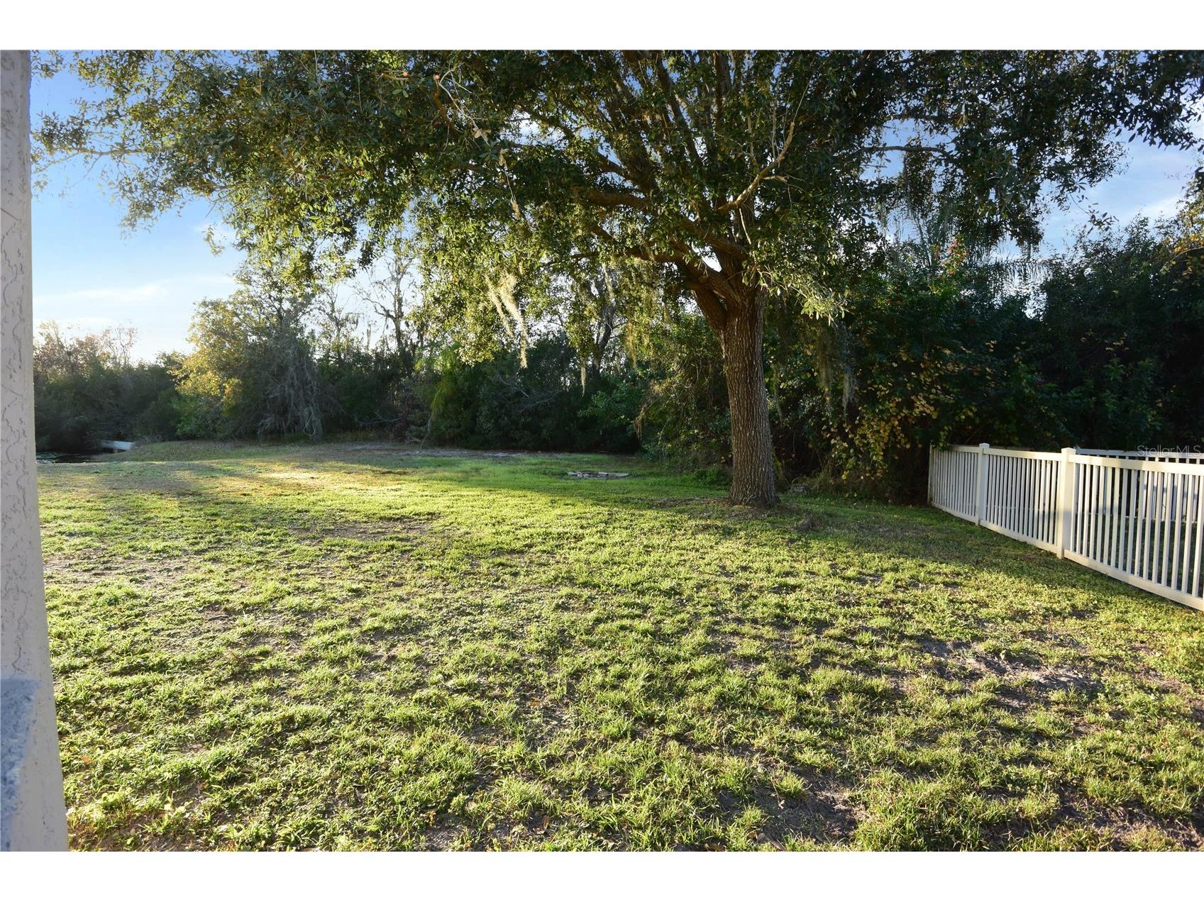 7015 Cardinalwood Lane Land O Lakes FL 34637 W7882620 image51