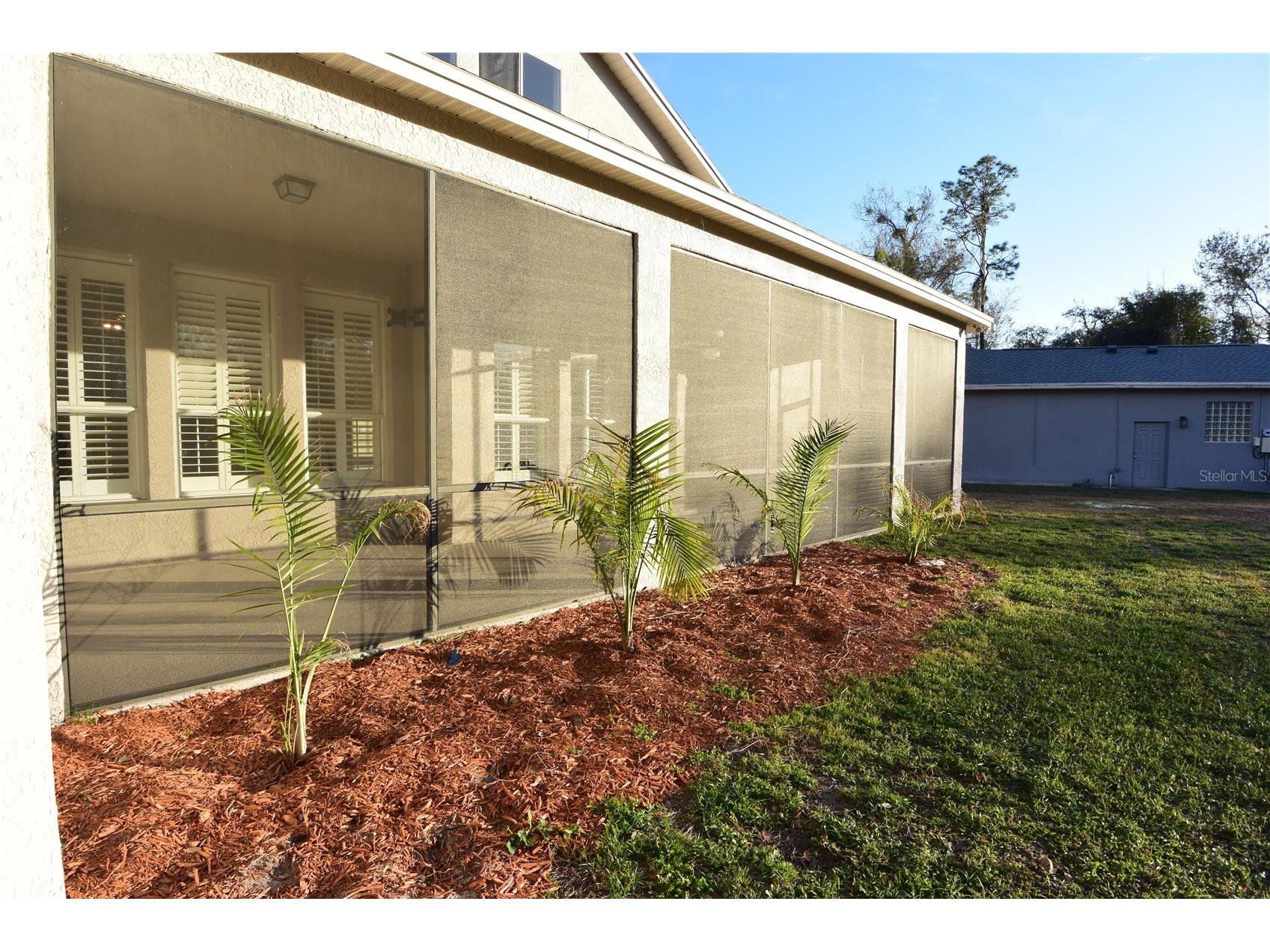 7015 Cardinalwood Lane Land O Lakes FL 34637 W7882620 image52