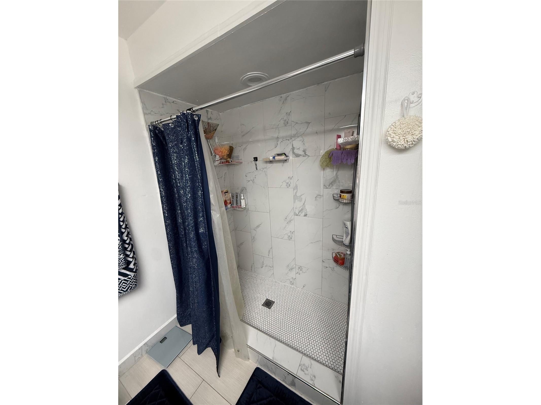 7015 Cognac Drive #6 New Port Richey FL 34653 TB8513749 image19