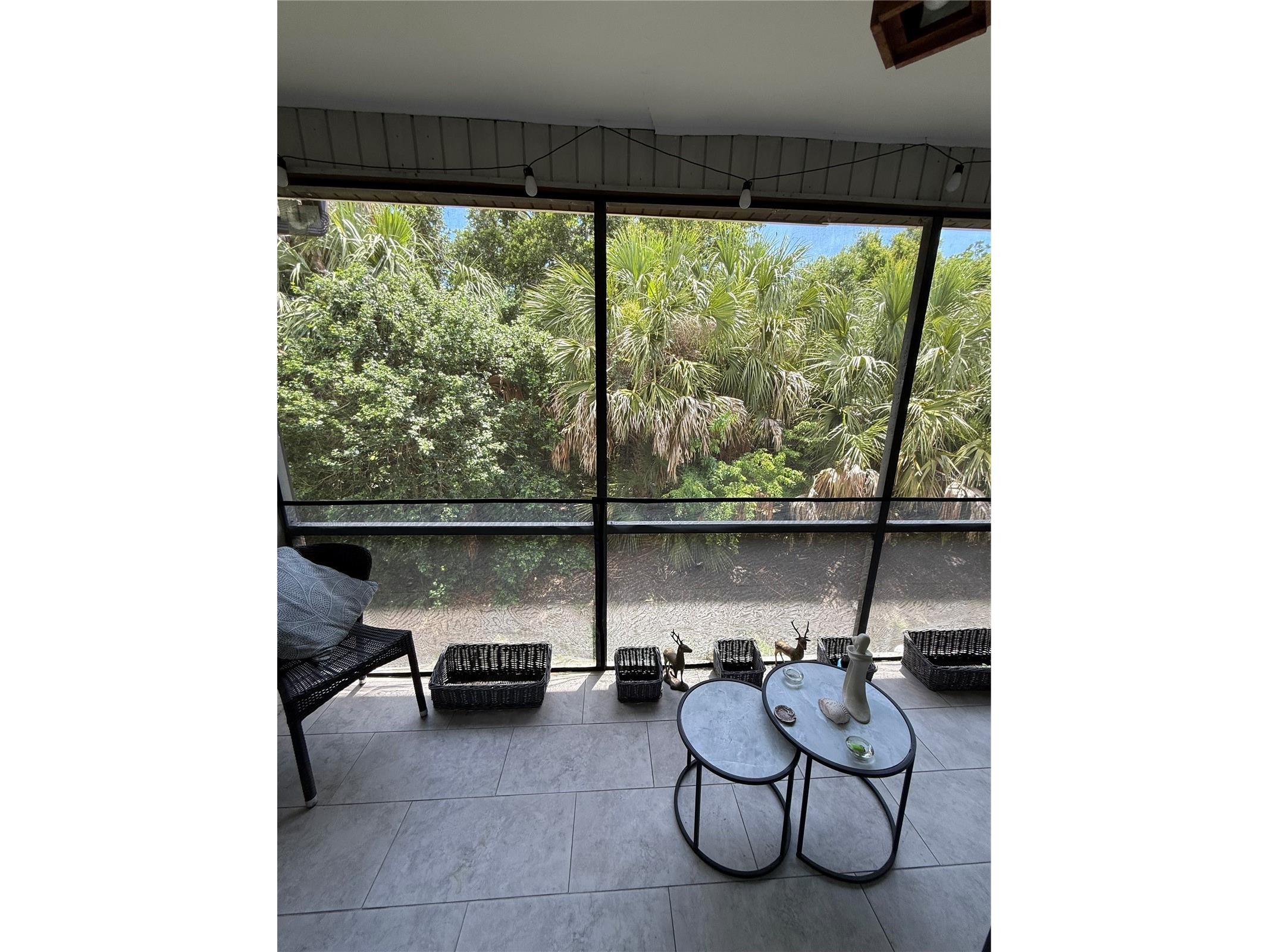7015 Cognac Drive #6 New Port Richey FL 34653 TB8513749 image26