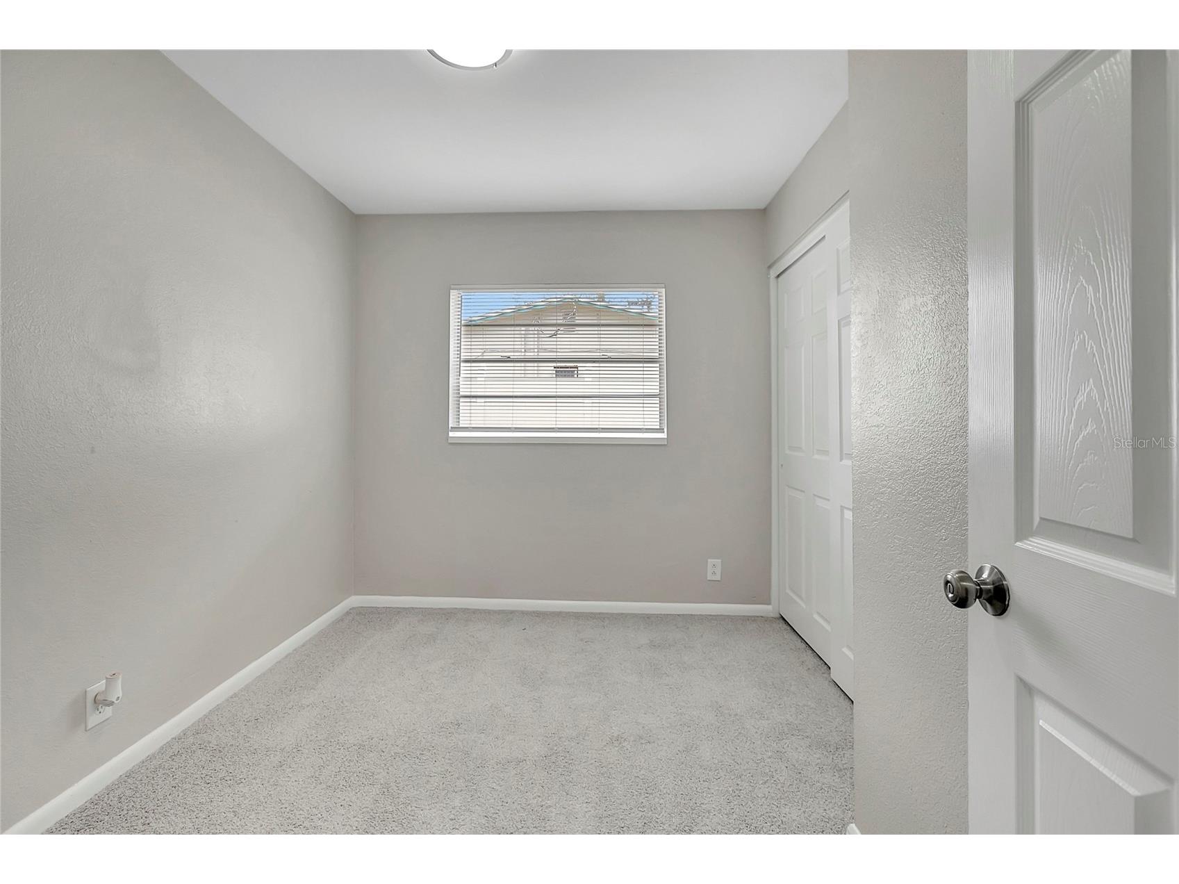 7015 Filbert Lane Tampa FL 33637 TB8519141 image24