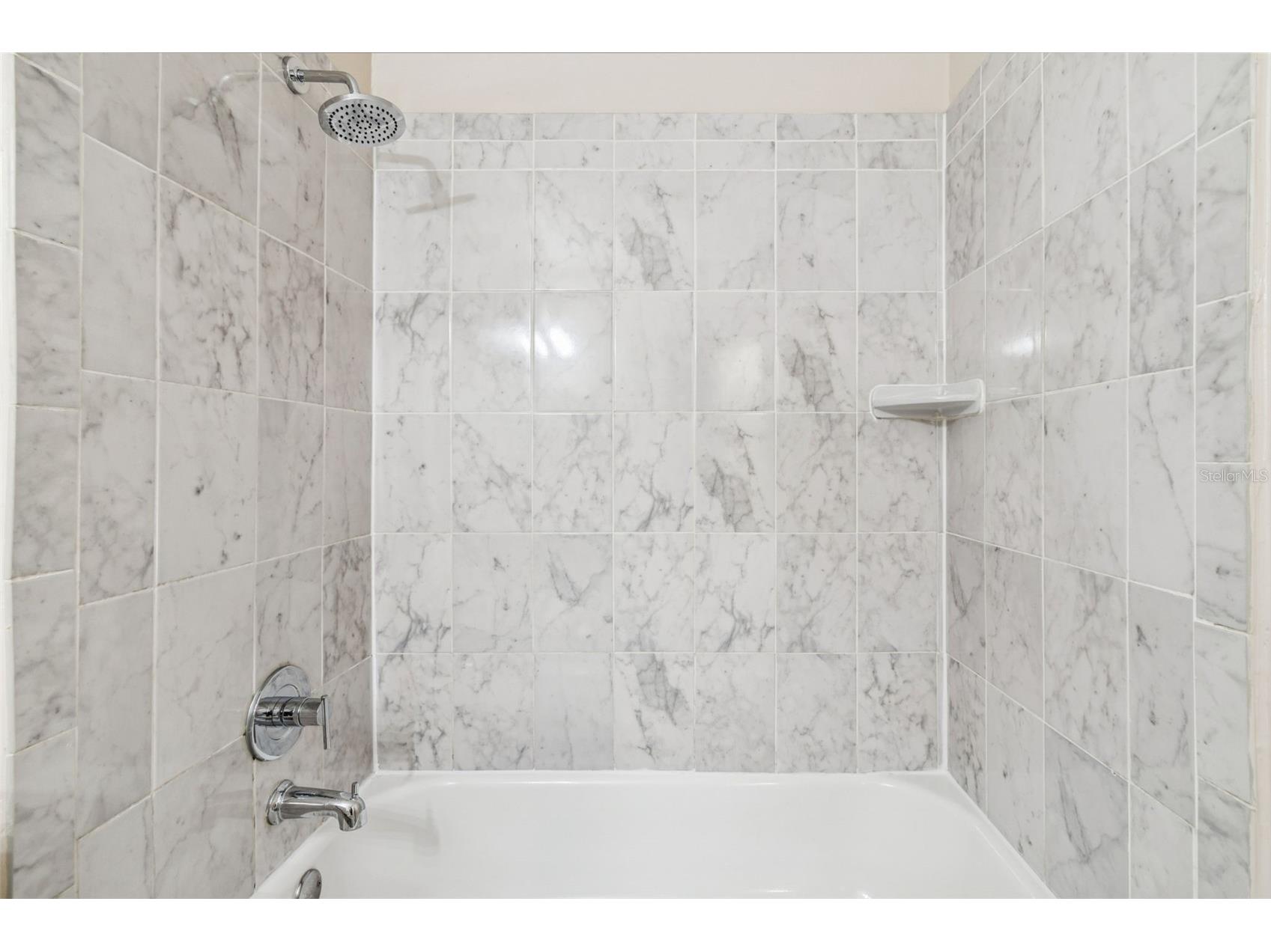 7015 Waterside Drive #1 Tampa FL 33617 - HILLSBOROUGH RIVER TB8467052 image39