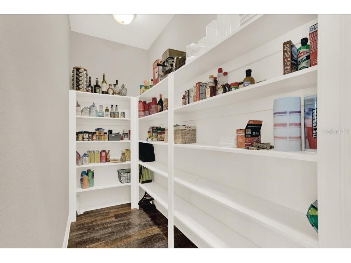 7017 Artesian Court Apollo Beach FL 33572 TB8409233 image38